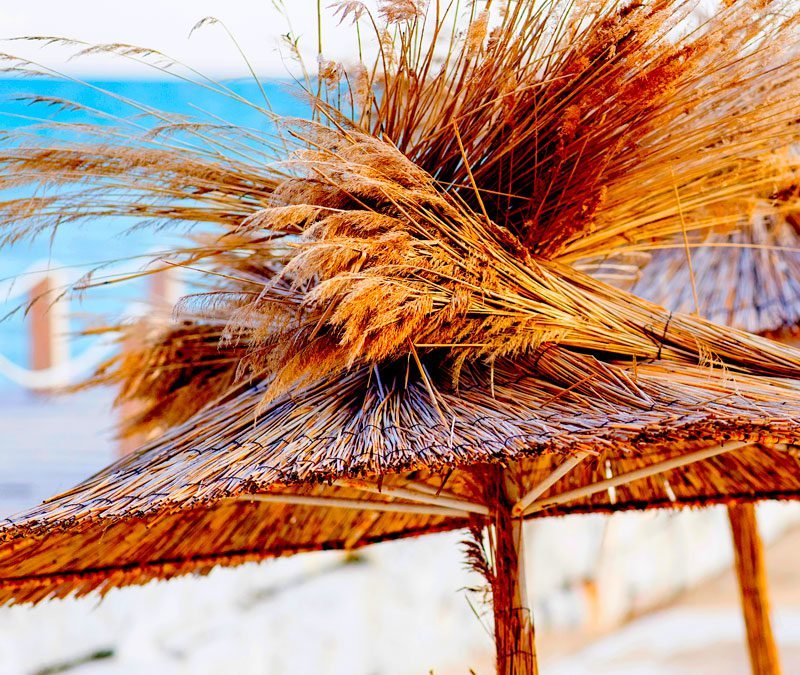 Título 1 y algunas palabras